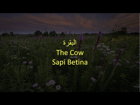 QS 2:1-5 Easy Memorization Al Quran Surah Al Baqarah Verse 1-5