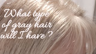 WHAT TYPE OF GRAY HAIR WILL YOU HAVE?
