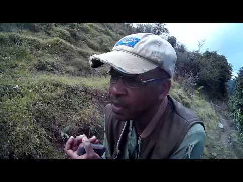 Black Conservationist - Nepal Tiger Project