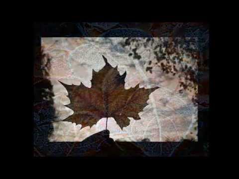 Frunza mea albastra- Mirabela Dauer si Marian Nistor / Versuri de Radu Stanca