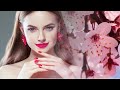 Magic Garden - Schiller