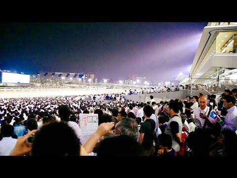 2017.06.28第40回帝王賞(JpnⅠ)レース直前の様子＠大井競馬場