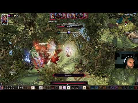 Divinity: Original Sin II Solo Bishop Alexandar Fight