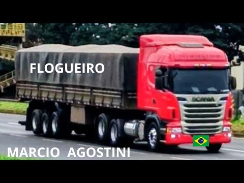 DIA A DIA DE FLOGUEIRO EM SARANDI PR 