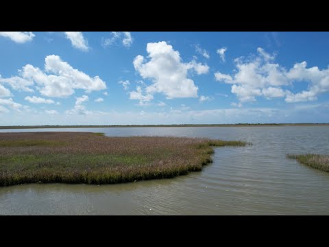 Dedicated water protects estuaries at Mad Island Marsh Preserve