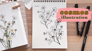 How to Draw Flowers | Cosmos Practice Exercise