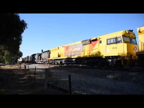 Aurizon 5PM1 with 6010 and 6042
