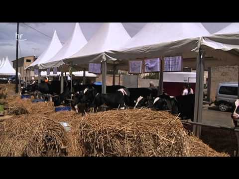 Mallorcas schönste Seiten - Trauminsel zu jeder Jahreszeit Ein Film von Lutz Weber