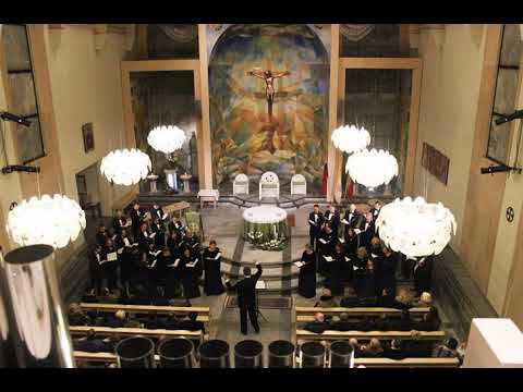 Šiauliai State Chamber Choir Polifonija - ALBUM Nors žvaigžde tu pakiltum...