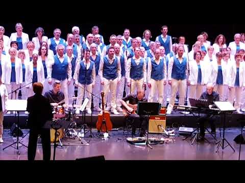 " Diégo libre dans sa tête " de J.Hallyday et M Berger par le Choeur de France Picardie