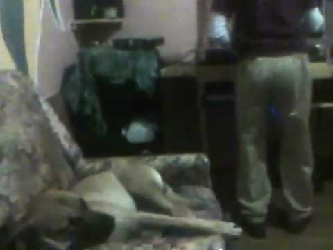 SA port st johns trance party