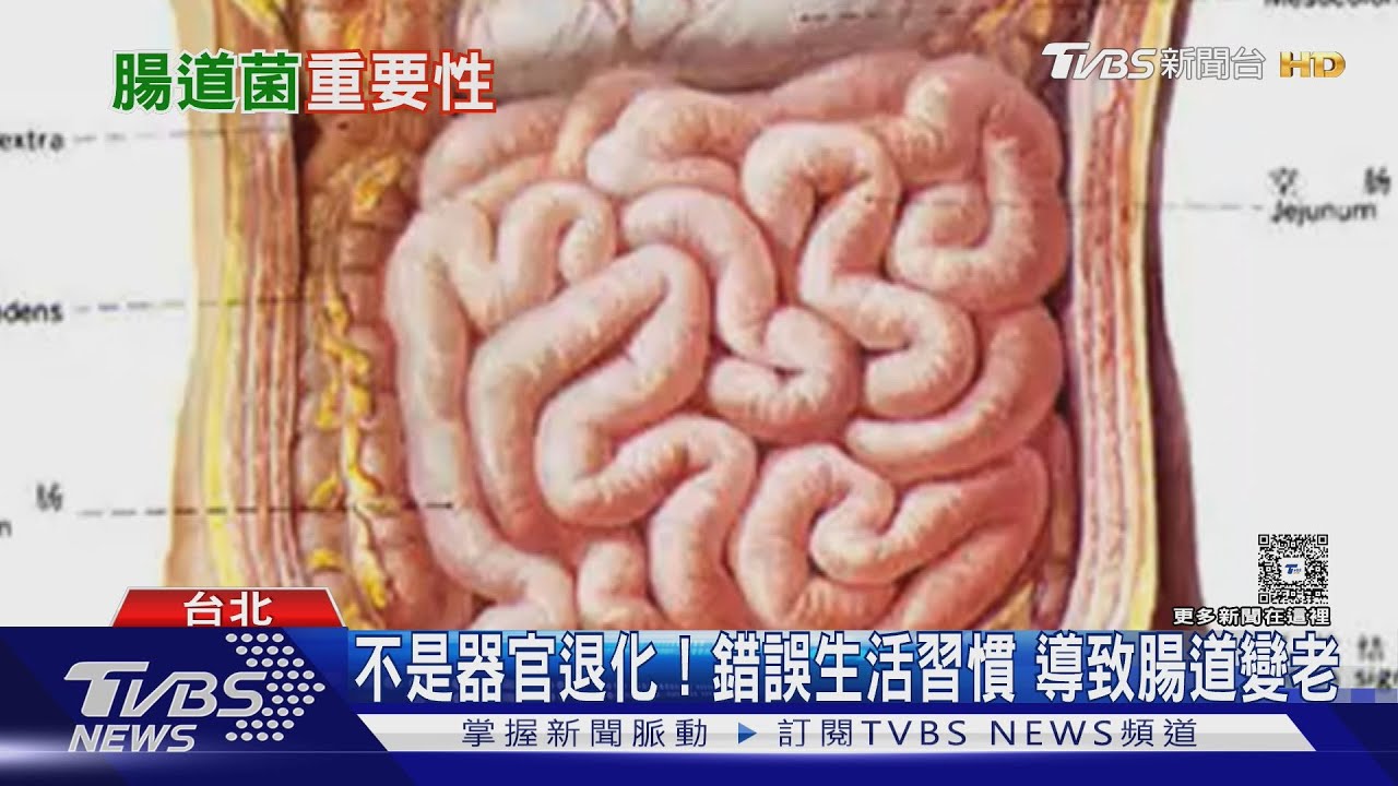別只顧臉部保養！腸道年輕才是真的抗老 醫授腸道自癒食譜