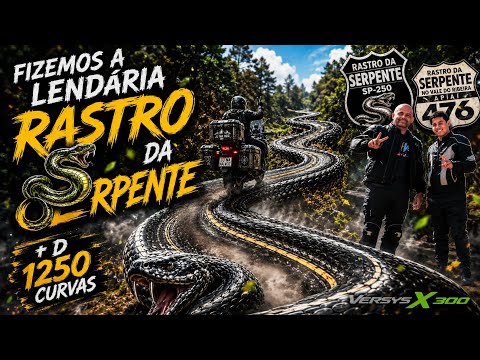 Rastro da Serpente de Capão Bonito SP até Curitiba PR 
