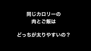 同じカロリーの肉とご飯はどっちが太りやすいの？