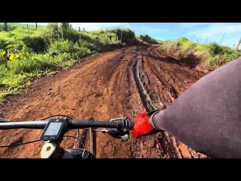 Paisagens da roça região de Abatiá e Bandeirantes Pr 