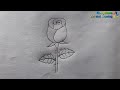 Golap Akanor Koushol || Rose Flower Drawing Techniques