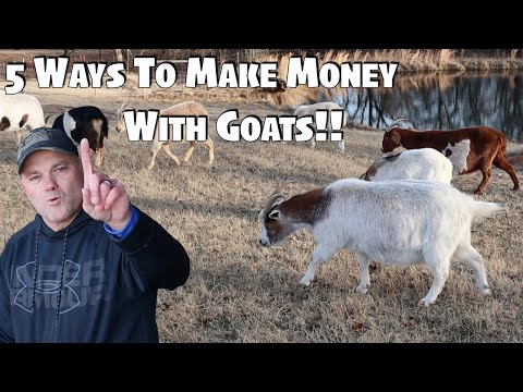 , title : '5 Ways To Make Money Raising Goats'