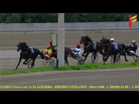 IV Corsa del 27 Dicembre 2021 - 2 Anni - Metri 1600