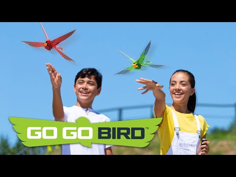 GO GO BIRD Interaktyvus paukščiukas