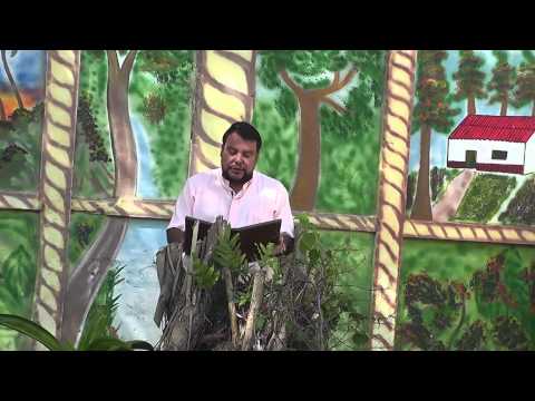 EVANGELIO 30 DE JULIO 2014