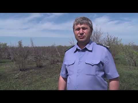 В Ростовской области Управлением Россельхознадзора выявлен земельный участок сельскохозяйственного назначения, длительное время не использовавшийся по назначению