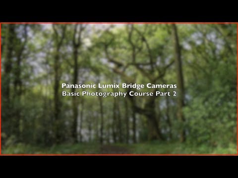Panasonic Lumix Bridge Camera Basic Photography    Part 2