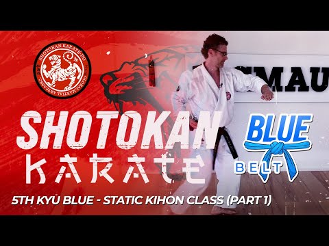 Shotokan Karate - 5th Kyu - Blue Belt - Static Kihon Class (Part 1) thumbnail
