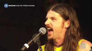 Colorshow, The Avett Brothers, Lollapalooza 2014