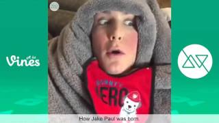 Best of Amanda Cerny Vine Compilation 2015 - All Amanda Cerny Vines with Titles