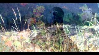 &quot;when its raining&quot; The Samples live