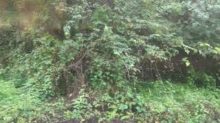 西武4000系4003F西武秩父発普通飯能全区間車窓走行音