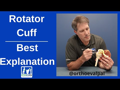 Shoulder Apprehension Test and Relocation Test