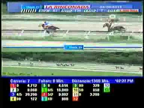 7MA CARRERA VIERNES 24 AGOSTO LA RINCONADA AUDIOHIPISMO