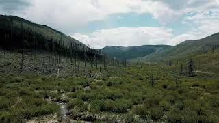 Gold River Perfect 10 borders the forest