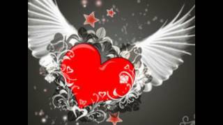 Joel Brandenstein - Polaroid