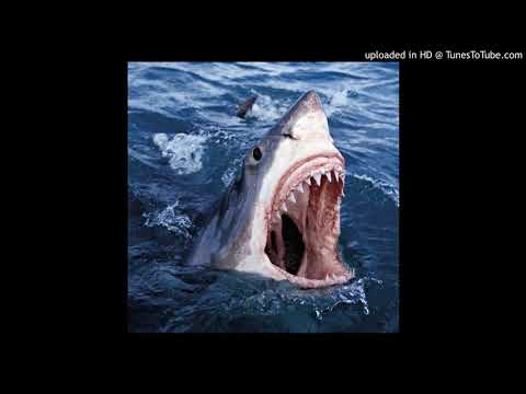 Conway The Machine & The Alchemist - Calvin