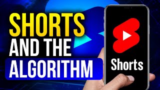 YouTube Shorts Algorithm Questions Answered by YouTube Rep