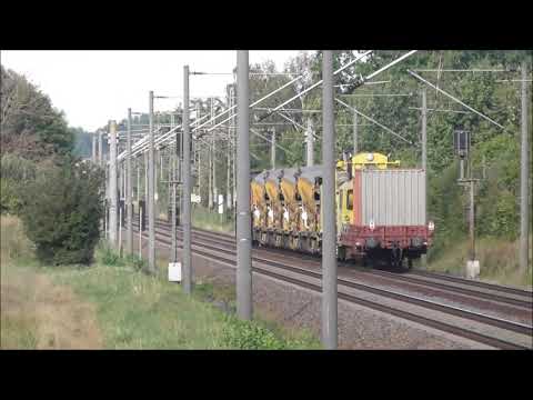 BR 203 von KGT mit Bauzug