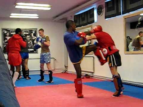 Richard Petersson Golden Leaf