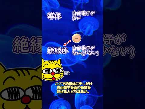 導体 (物理的)について詳しく解説