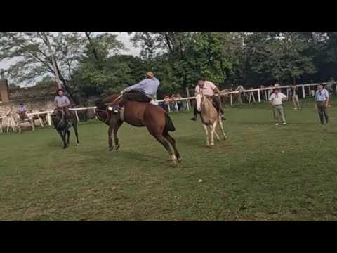 JINETEADA en Agrupación Tradicionalista PASO DEL REY