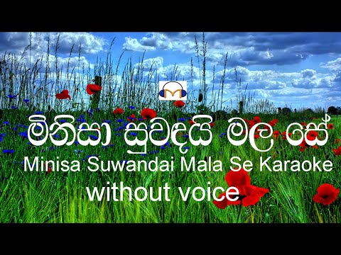 Minisa Suwadai Mala Se Karaoke (without voice) මිනිසා සුවඳයි මල සේ