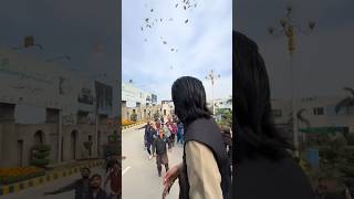 Download lagu Rajab family wedding shorts😱😱 video Chalti gadi Ma paiso Ki Barish #shaadi#wedding #usaweddings mp3