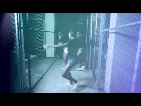 Black Dogg feat Dan lu African Ladies Official HD Video