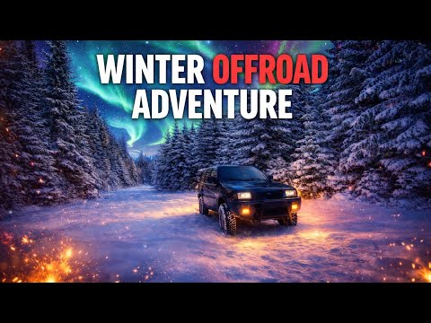 Transbucegi alb complet ❄️ Drumul prin pădurea înghețată 🥶