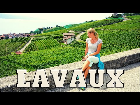 Lavaux Vineyard Terraces - French Switzerland - Lake Geneva