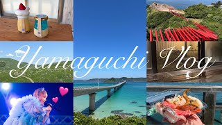 【山口1泊2日Vlog】人気観光スポット/グルメ巡り/温泉旅館に泊まって推しのフェスに行く予定詰め詰め旅行🚄💨