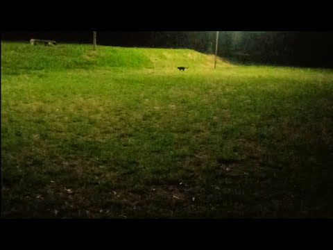 Young P - Eunaoseiporquederrepentecesome