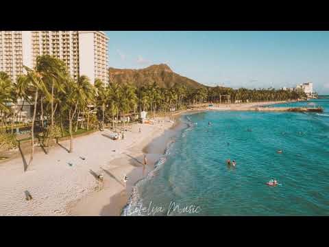 David Guetta x MistaJam x John Newman - If You Really Love Me