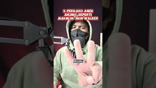 Download lagu These dogs are acting suspicious #mythicalcreatures #mystery #creatures #legends #mythologicalcre... mp3 Download lagu These dogs are acting suspicious #mythicalcreatures #mystery #creatures #legends #mythologicalcre... mp3